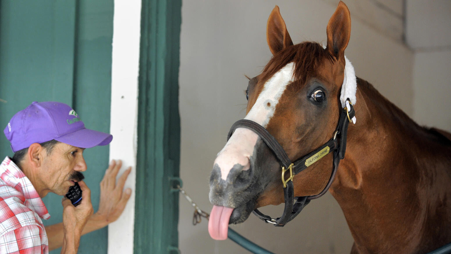 Preakness photos from years past
